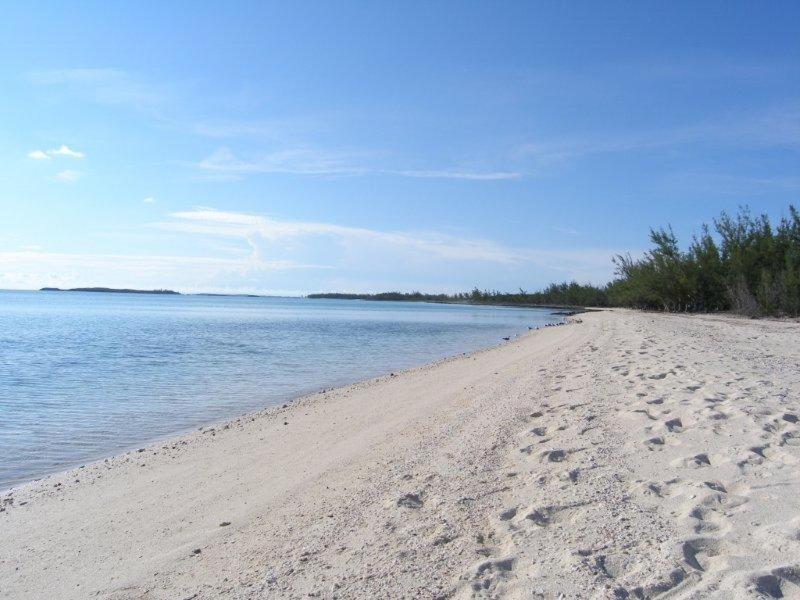 Caribbean Sandcastle Home James Cistern المظهر الخارجي الصورة